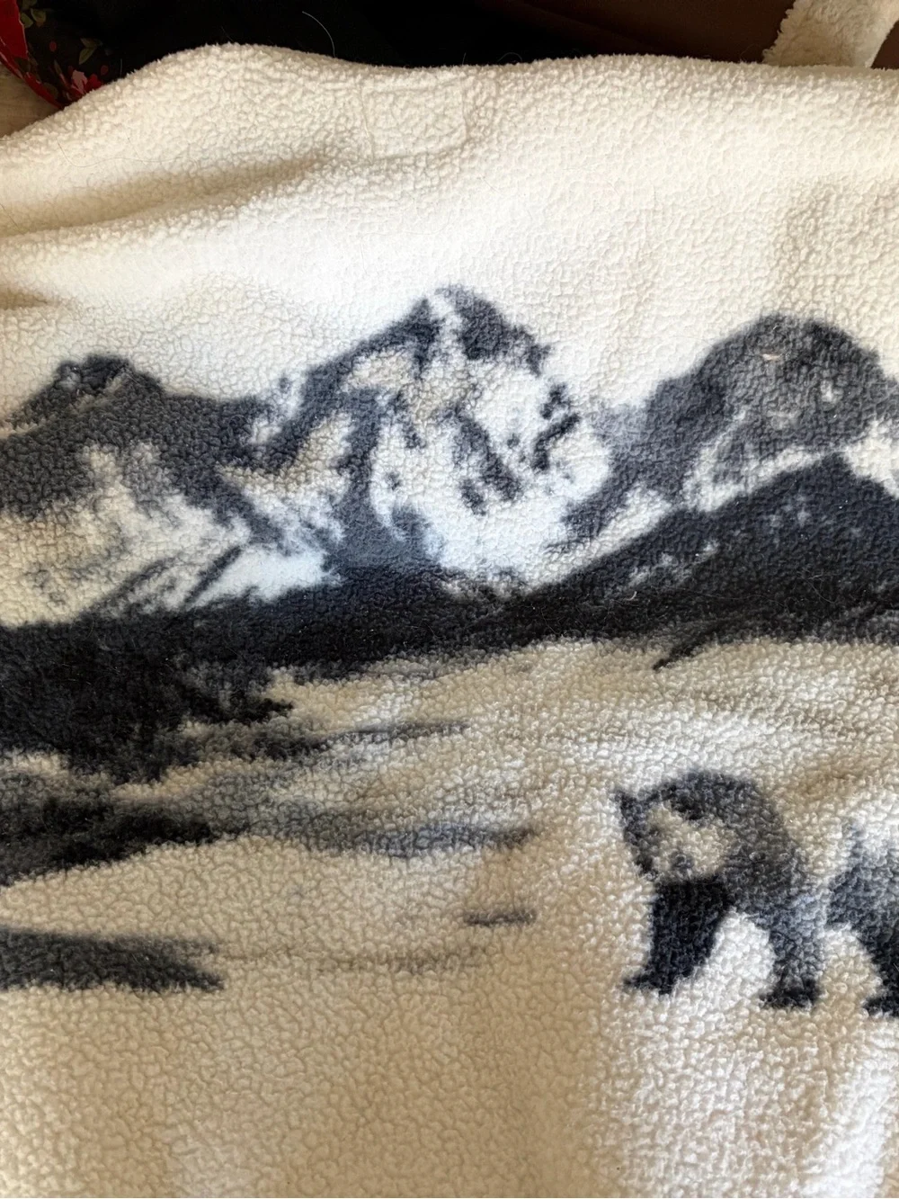 Viral Old Navy Polar Bear Fleece Pull Over